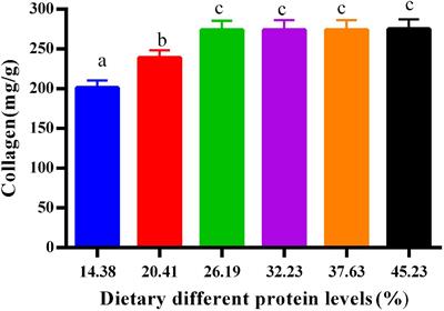 Dietary protein improves flesh quality by enhancing antioxidant ability via the NF-E2-related factor 2/Kelch-like ECH-associated protein 1 signaling pathway in softshell turtle (Pelodiscus sinensis)